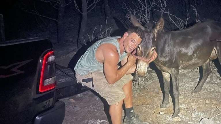 Δημήτρης Φιντιρίκος: Οι συγκινητικές εικόνες διάσωσης εγκαταλελειμμένων ζώων από τη φωτιά στη Μάνδρα