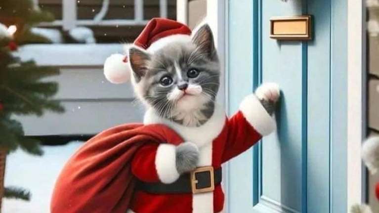 50ο Χριστουγιεννιάτικο Μπαζάρ της Ελληνικής Φιλοζωικής: Φυλάξτε τις ημερομηνίες