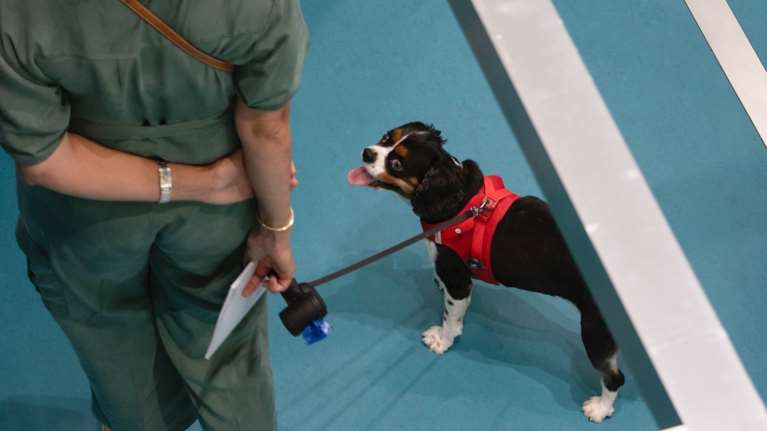 Παγκόσμια Ημέρα Ζώων στο  EMST Athens:  &quot;Δαγκώνει;&quot;