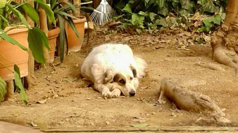 Τι συναισθήματα σάς προκαλεί αυτή η φωτογραφία;