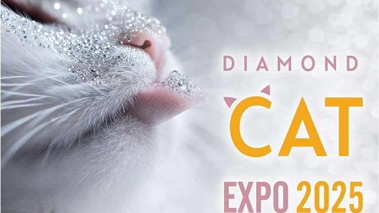 Το SCARS  στην έκθεση γάτας Diamond Cat Expo 2025 στις 26 και 27 Απριλίου - Μάθετε τα πάντα για τα ζωάκια με αναπηρία