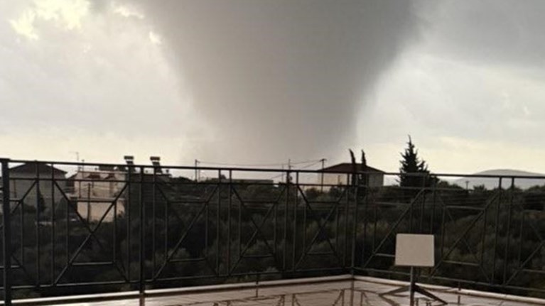 ΑΝΕΜΟΣΤΡΟΒΙΛΟΣ ΦΟΙΝΙΚΟΥΝΤΑ