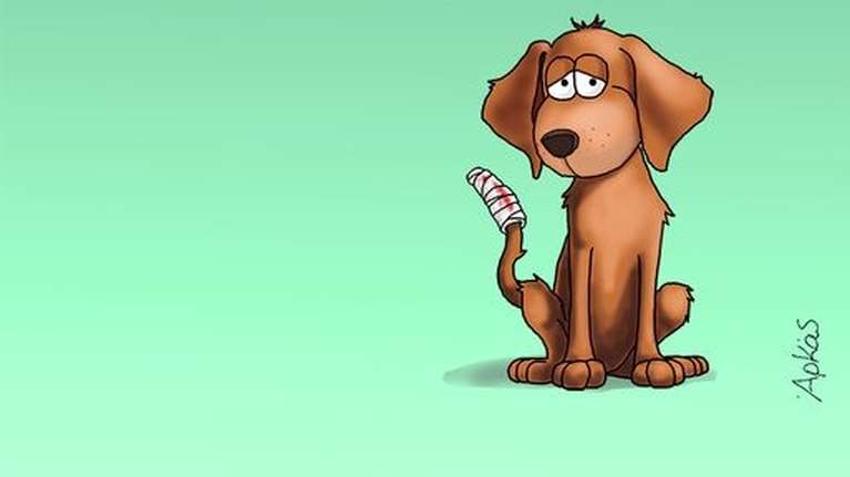 Αρκάς: Η καλημέρα με τον σκύλο και την ουρά του - "Υπάρχει πάντα ο κίνδυνος να την πιάσεις"