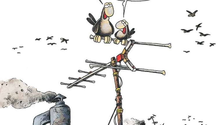 Η χειμωνιάτικη καλημέρα του Αρκά και το σκίτσο για όσους δεν τους αρέσει το κρύο