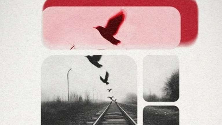 Τέμπη: Μεγάλη συναυλία μνήμης στο Καλλιμάρμαρο - Ποιοι θα τραγουδήσουν [εικόνα]