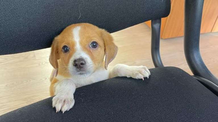 Πώς η Μίρα από την Πρέβεζα άλλαξε τη... μοίρα του Ακη Σκέρτσου στην Γενική Γραμματεία Συντονισμού