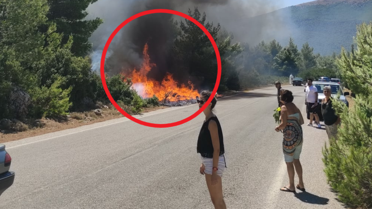 Βίντεο ντοκουμέντο: Έτσι ξεκίνησε η φωτιά στα Βίλια- Μια μικρή φωτιά που έγινε πύρινη λαίλαπα μέσα σε λίγα λεπτά [Βίντεο]