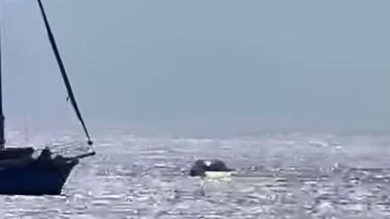 Τήνος: Αυτοκίνητο έπεσε στη θάλασσα στο λιμάνι του Όρμου [βίντεο]