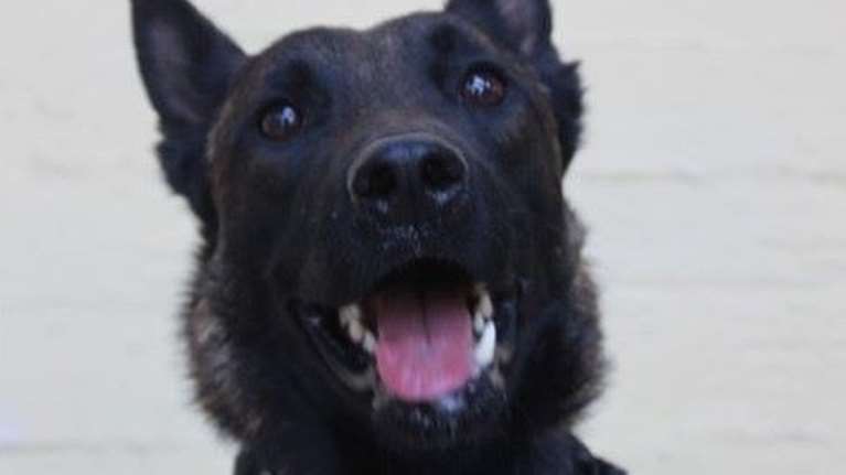 Ο Echo μετά τον εντοπισμό του Μπάμπη, πάει στην Ηλεία για τον 45χρονο οδηγό που παρασύρθηκε από χείμαρρο