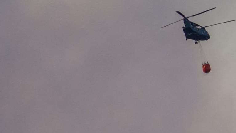 Φωτιά στη Δαδιά: Σκληρή μάχη με τις φλόγες στο νοτιοδυτικό πύρινο μέτωπο - O άνεμος &quot;άνοιξε&quot; την πυρκαγιά