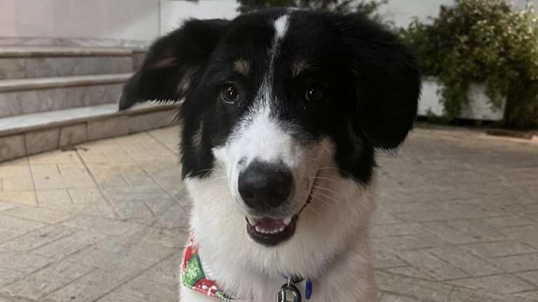 Ο Πολ έχει πάρει πάρα πολύ αγάπη από την οικογένειά του -  Η ζωή όμως είχε άλλα σχέδια