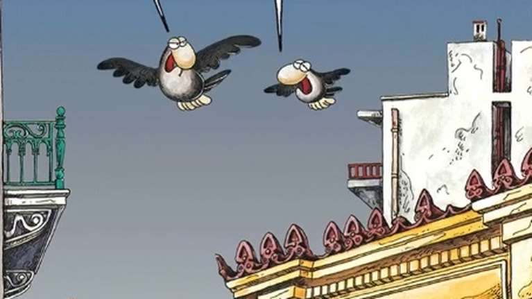 Αρκάς: Χιουμοριστική κυριακάτικη καλημέρα με τα πουλιά και τη... Χιονάτη