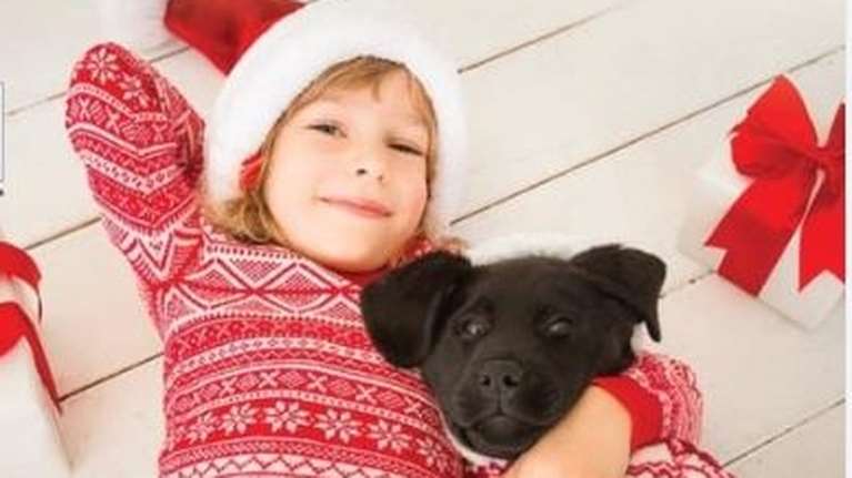 Ελληνική Φιλοζωική: Ερχεται το Μπαζάρ που χαίρονται όλοι, για καλό σκοπό - Save the dates για τα ζωάκια