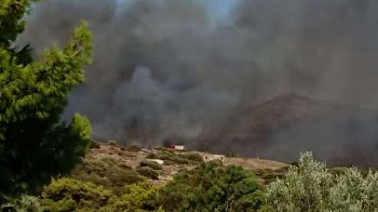 Φωτιά και στο Σούνιο: Κοντά σε ξενοδοχείο - Έκλεισε η παραλιακή λεωφόρος