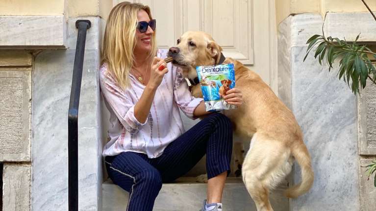 Τα κατοικίδια των Ελλήνων celebrities: Ποιοι έχουν σκύλο και ποιοι γάτα;