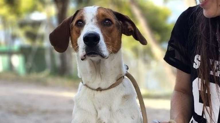 Προσπαθεί τόσο πολύ να είναι τέλειος, και ας κάνει λάθη, και ας μην ξέρει τα πάντα