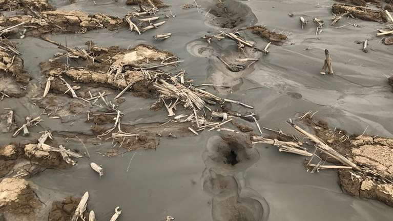 Τρίκαλα: Το απίστευτο φαινόμενο στο χωριό Ζάρκο μετά τον σεισμό - Ανοιξε η γη και αναβλύζει νερό