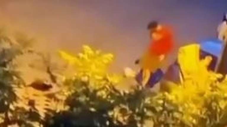 Nέα κτηνωδία στη Θεσσαλονίκη: Νεαρός κλωτσάει γατάκι και το πατάει με το αυτοκίνητο