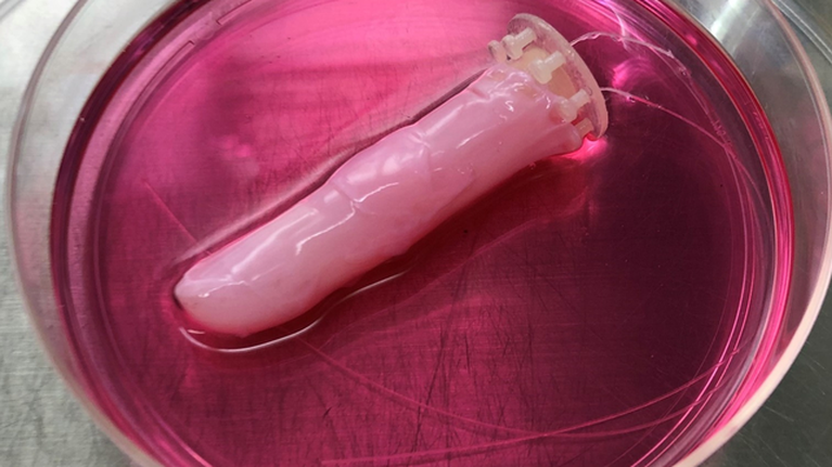 Ανθρώπινο δέρμα για ρομπότ δημιούργησαν Ιάπωνες ερευνητές - Ενα βήμα πιο κοντά στη δημιουργία ανθρωποειδών