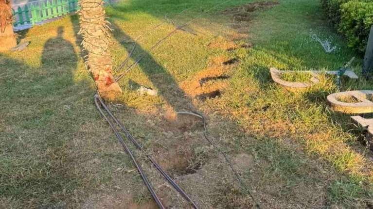 Ο Δήμαρχος Αλίμου καταγγέλλει: &quot;Ξήλωσαν τα δέντρα από το παραλιακό μέτωπο, οι νυχτόβιοι αλήτες ξαναχτύπησαν&quot;