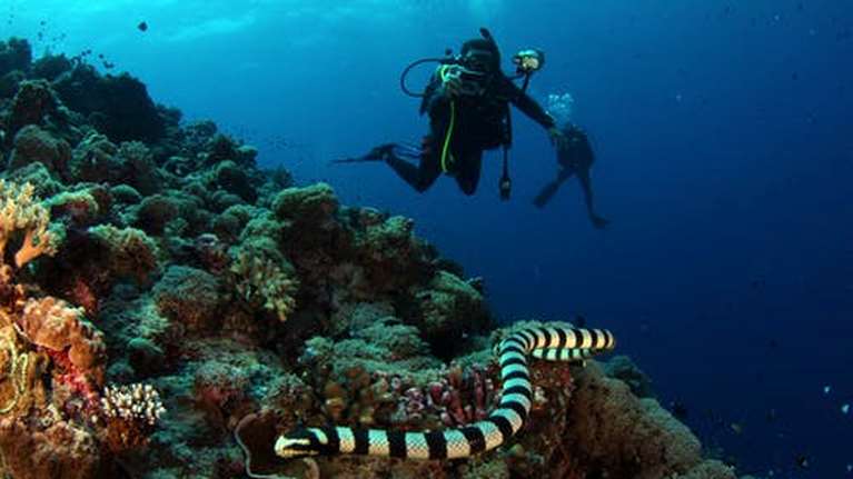 Αυτό είναι το νησί που το 99% του πληθυσμού του, έχει εμβολιαστεί πλήρως