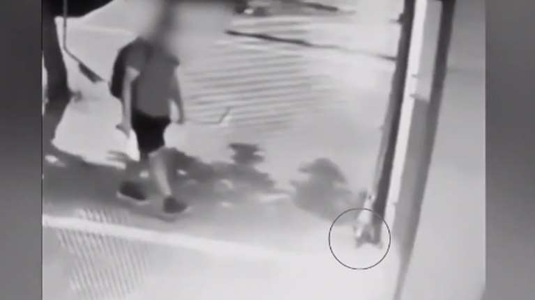 "Είμαι μορφωμένος και έχω οικογένεια": Αρνείται ο 40χρονος ότι αυτός ποδοπάτησε μέχρι θανάτου το γατάκι στη Θεσσαλονίκη