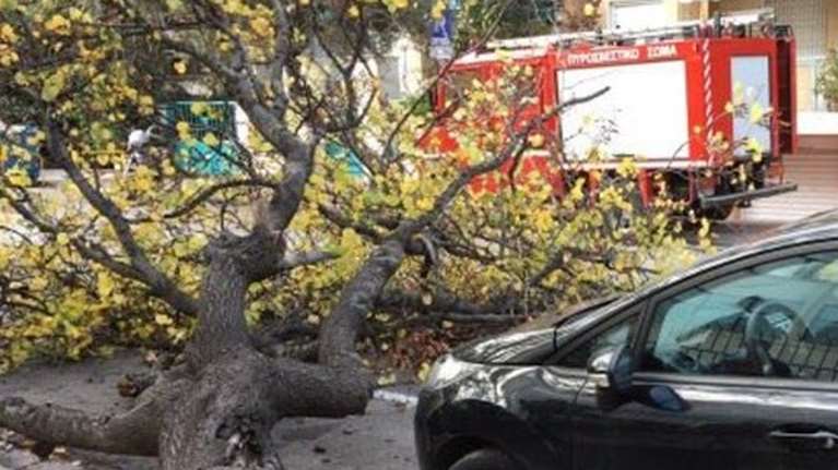 Προβλήματα σε Σέρρες, Βέροια, Κιλκίς από την κακοκαιρία - εξπρές: Δυνατό μπουρίνι και έντονες βροχοπτώσεις