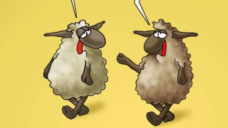 Αρκάς: Η.. περίπλοκη συζήτηση των προβάτων ενόψει Πάσχα