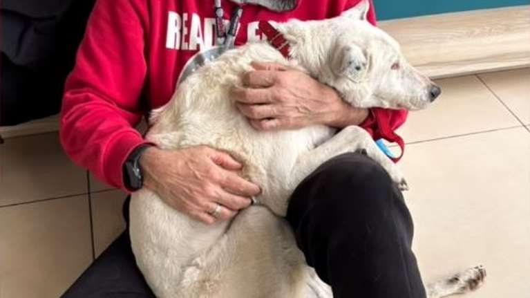 H Χιονάτη, μια ιδιαίτερη περίπτωση: Είναι πλέον γριούλα και όλη της τη ζωή την έζησε σε μια πανσιόν