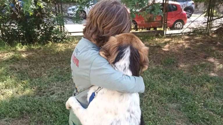 Η δύναμη του καλού: Μια αγκαλιά έψαχνε - Στο κυνοκομείο Τρίπολης, έβγαινε από το κλουβί σε αγκάλιαζε και έμενε ακίνητη