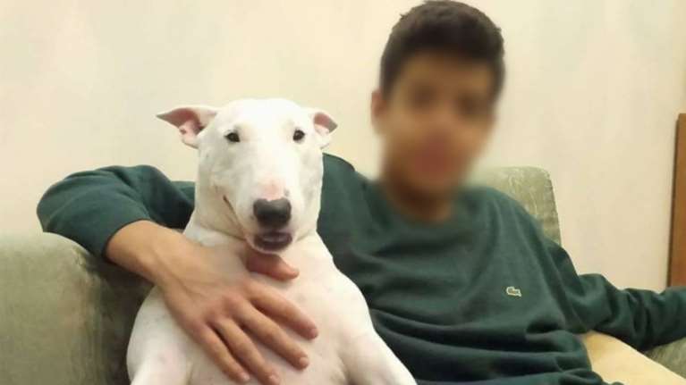 Κρήτη: Πέθανε μία εβδομάδα μετά τον χαμό του 20χρονου παιδιού της σε τροχαίο - Δεν έμαθε ποτέ για τον θάνατο του γιου της