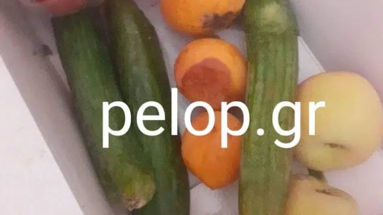 Πάτρα: Γονείς μαθητών δημοτικού καταγγέλουν ότι έλαβαν σάπια φρούτα στο σχολείο - &quot;Ηταν για γουρούνια, όχι για παιδιά&quot; [εικόνα]