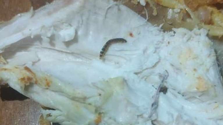 Καταγγελία στα Χανιά: Αγόρασε κοτόπουλο από σούπερ μάρκετ και μέσα βρήκε… σκουλήκια [εικόνες]