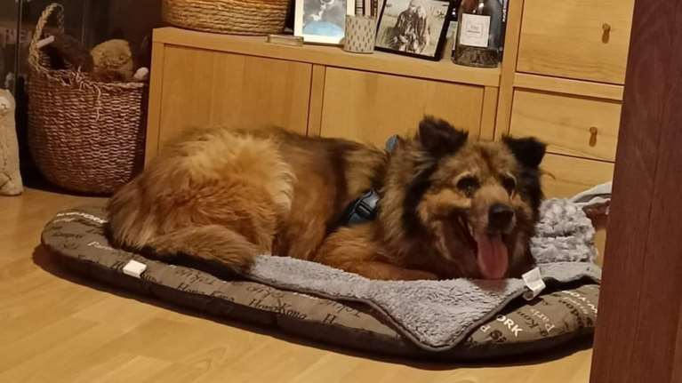 Ραφάτ - Αν ήταν ήρωας σε παιδικό παραμύθι: Τα πάντα πάνω του φώναζαν "μη υιοθετήσιμος" -  Ομως βρήκε το σπίτι του