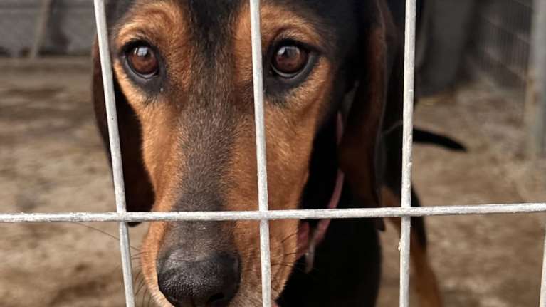 Ο Στράτος χάλασε... Οπότε; Πέταμα... Εσπασε το ποδαράκι του, κόλλησε στραβά και ήταν πλέον ένα άχρηστο εργαλείο