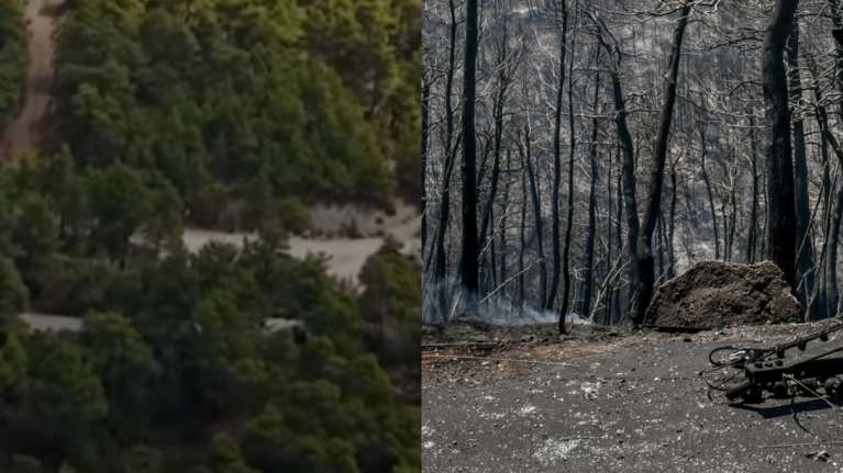 Φωτιές στην Αττική: Οι προφητικές δηλώσεις για την &quot;πυριτιδαποθήκη&quot; στην Ιπποκράτειο Πολιτεία - Συγκλονιστικό βίντεο