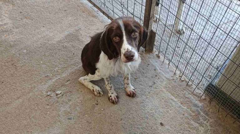 Μίκυς: &quot;Θέλω πολύ να σας βλέπω χαρούμενους. Αν είναι κάτι που σας προβληματίζει, είμαι εδώ&quot;