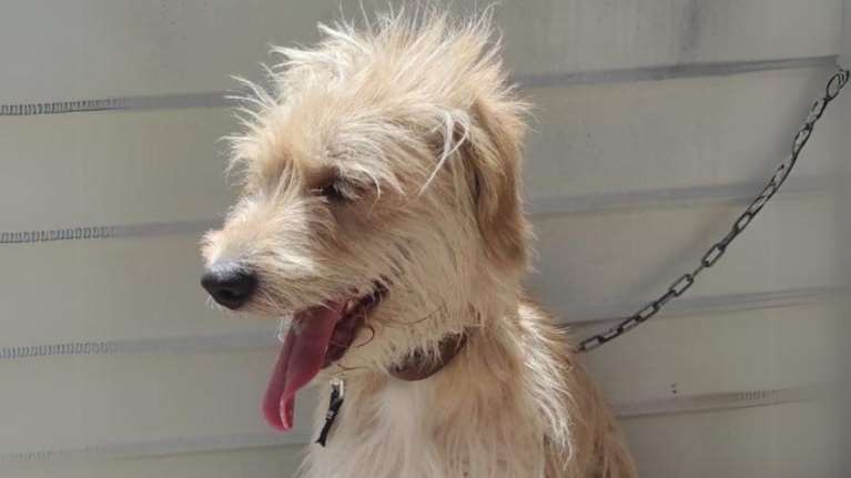 Η ζωή του μέχρι τώρα δεν ήταν εύκολη, ο Μπρούνο αξίζει μια δεύτερη ευκαιρία