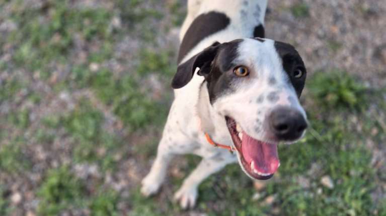 Η Βικτώρια βρέθηκε σε άθλια κατάσταση και μέχρι τώρα δεν είχε καμία τύχη