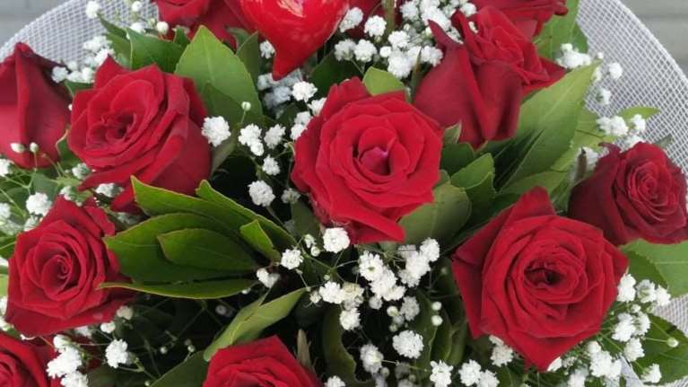 Θεσσαλονίκη: Περισσότερα από 100.000 κόκκινα τριαντάφυλλα περιμένουν τους ...ερωτευμένους της πόλης