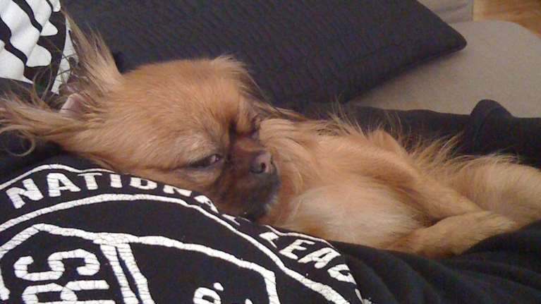 Μπέττυ Μαγγίρα - Θλιμμένη για την απώλεια της "γιαγιούλας Ζουζού": Ηθελε να ζήσει - Μέχρι την τελευταία της πνοή