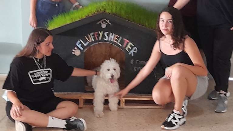 Σκυλόσπιτο με... roof garden κατασκεύασαν μαθητές Γυμνασίου της Ερέτριας [εικόνες]