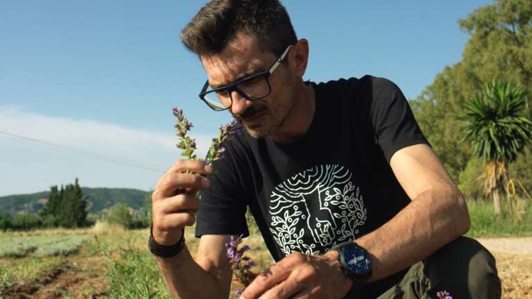 Ελληνικά βότανα σε κάψουλες εσπρέσο: Η start up ιδέα που βραβεύτηκε - Τι λένε οι ιδρυτές