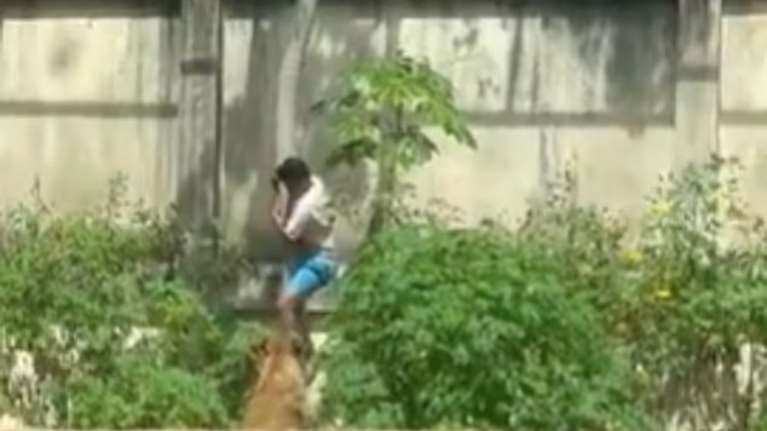 Σοκαριστικός θάνατος στη Βραζιλία για 19χρονο: Μπήκε σε κλουβί λιονταριών και τον κατασπάραξαν