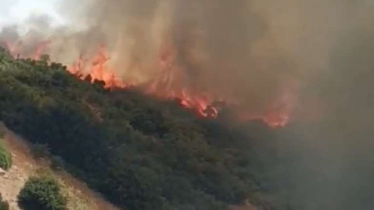 Μεγάλη φωτιά στη Λαμία: Ισχυρές πυροσβεστικές δυνάμεις στην περιοχή της Καμηλόβρυσης [βίντεο]