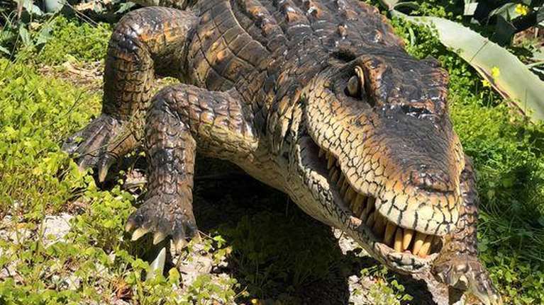 Ο αλιγάτορας που έζησε πριν από 18,5 εκατ. χρόνια στη Λέσβο- Ομοίωμά του στο Μουσείο Φυσικής Ιστορίας
