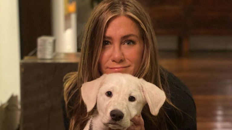 Τζένιφερ Άνιστον: Ήθελε να... γιορτάσει την πανδημία και της βγήκε ...ξινό στο instagram