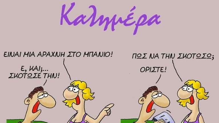 Αρκάς: Οδηγίες για να... σκοτώσεις μια αράχνη στο μπάνιο