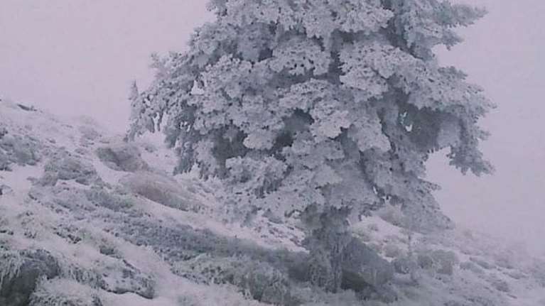 Έπεσαν τα πρώτα χιόνια: Στα &quot;λευκά&quot; Παρνασσός και Καϊμακτσαλάν [εικόνες]