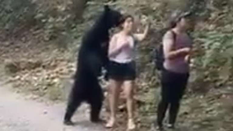 Τους πλησίασε αρκούδα στο δάσος και έβγαλαν ...σέλφι μαζί της [βίντεο]